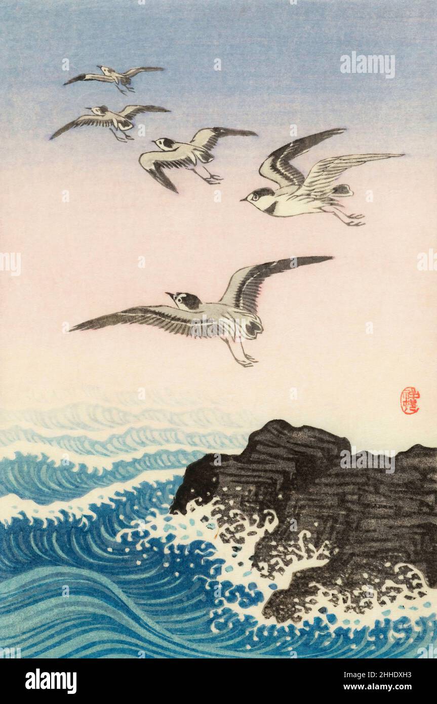 Five Seagulls above a Rock in the Sea von der japanischen Künstlerin Ohara Koson, 1877 - 1945. Ohara Koson war Teil der Shin-Hanga- oder New Prints-Bewegung. Stockfoto
