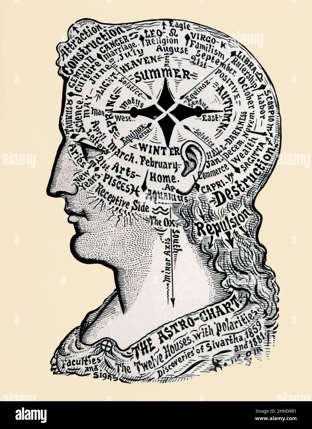 Ein Horoskop des menschlichen Kopfes und der menschlichen Schultern. Es zeigt phrenologische, astrologische, saisonale und emotionale Bereiche. Stockfoto