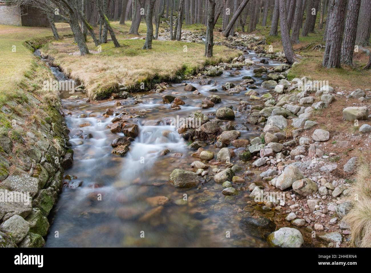 Glen Mucik, Ballater, Aberdeenshire, Schottland, Großbritannien Stockfoto