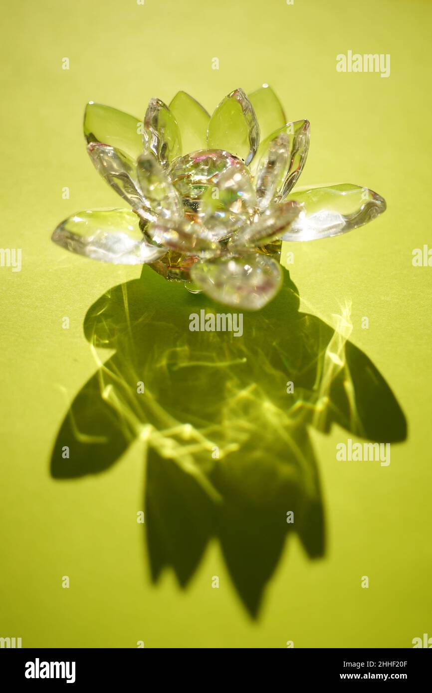 Wunderschöne Lotusblume aus Kristall auf einem grünen sonnigen Tisch. Stockfoto