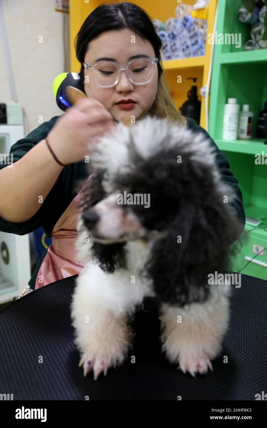 LIANYUNGANG, CHINA 24. JANUAR 2022 Ein Mitarbeiter hat in einem