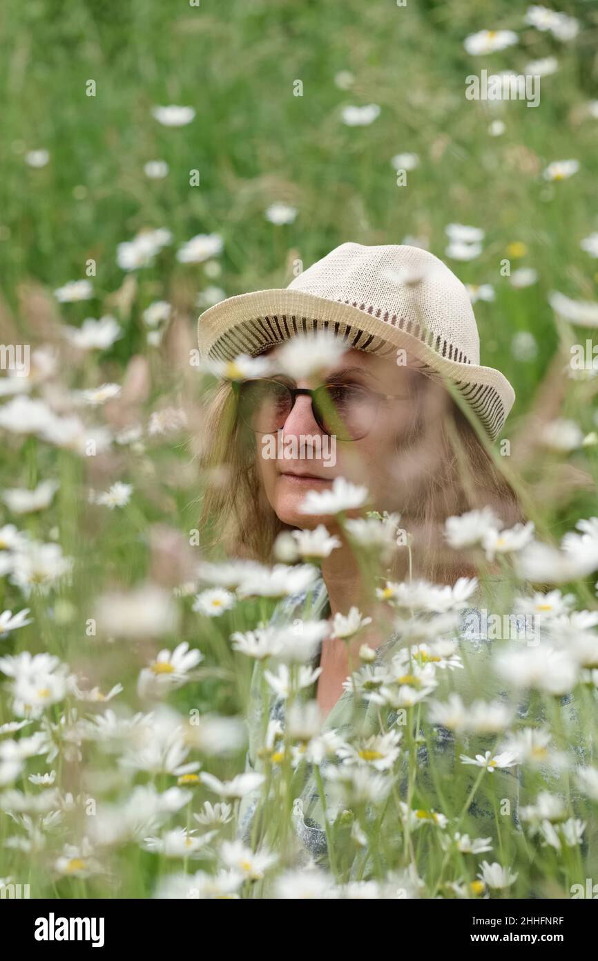 Leucanthemum vulgare - Frau auf einer wilden Wiese mit Gänseblümchen - West Lexham Gardens Norfolk Stockfoto