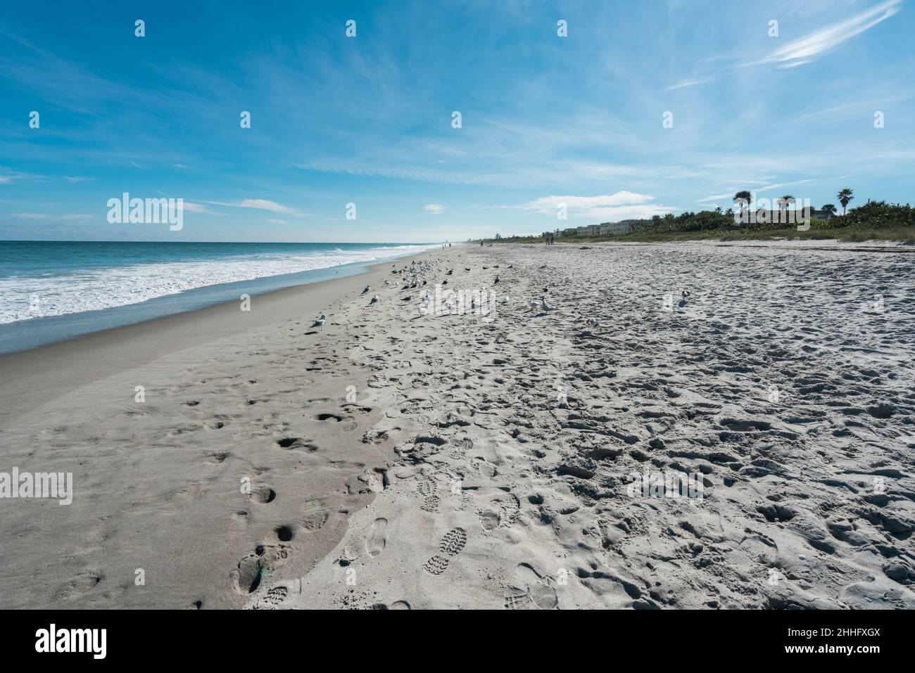 Schönes Bild mit Blick auf Melbourne Beach in Florida mit Möwenvögeln, aufgenommen im Dezember 2018. Stockfoto