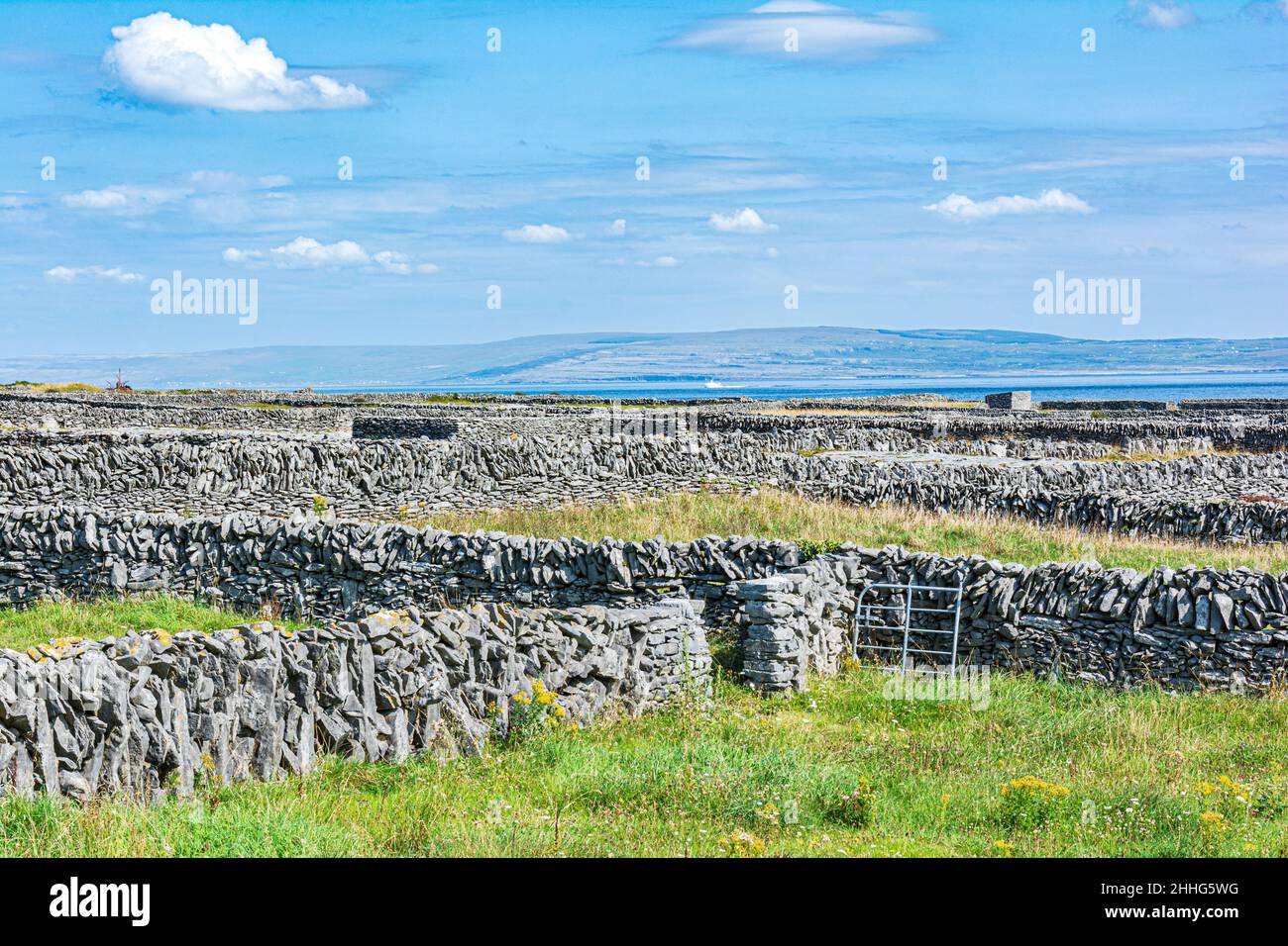Blick auf die Steinmauern auf Inisheer Island, Doolin, Galway County, Irland, Europa Stockfoto