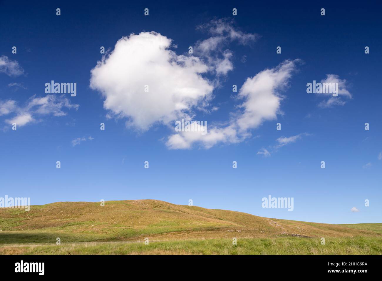 Sommerhumulus Wolke über einer Graswiese Stockfoto