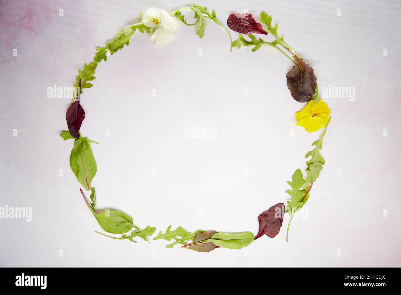 Salatmischung Kreis: Rucola, Mangold, Bullen Blut, Blumen. Gesundes Kochen und richtiges Ernährungskonzept. Hintergrund der Speisen. Natürliche Kräuter Draufsicht. Speicherplatz kopieren Stockfoto