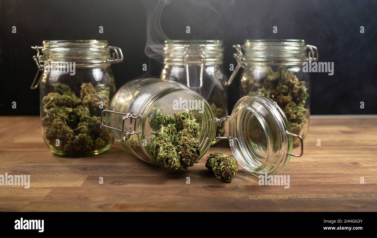 Trocken getrimmte Marihuanakrautknospen, bereit zum Rauchen. Medizinisches Cannabis. Stockfoto