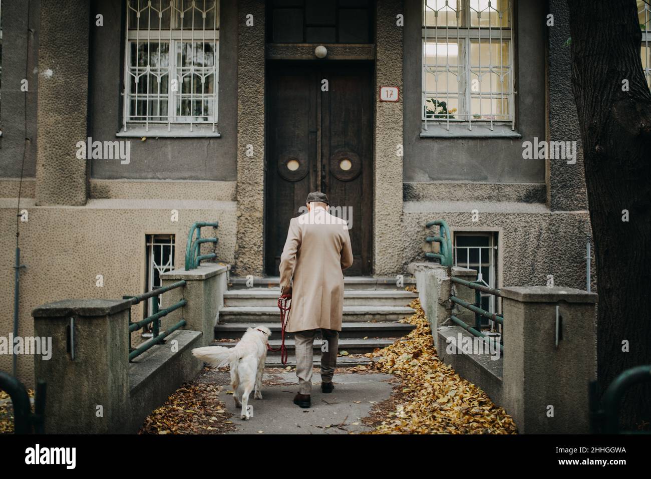 Rückansicht eines eleganten älteren Mannes, der im Winter mit seinem Hund vom Spaziergang in der Stadt nach Hause kam. Stockfoto