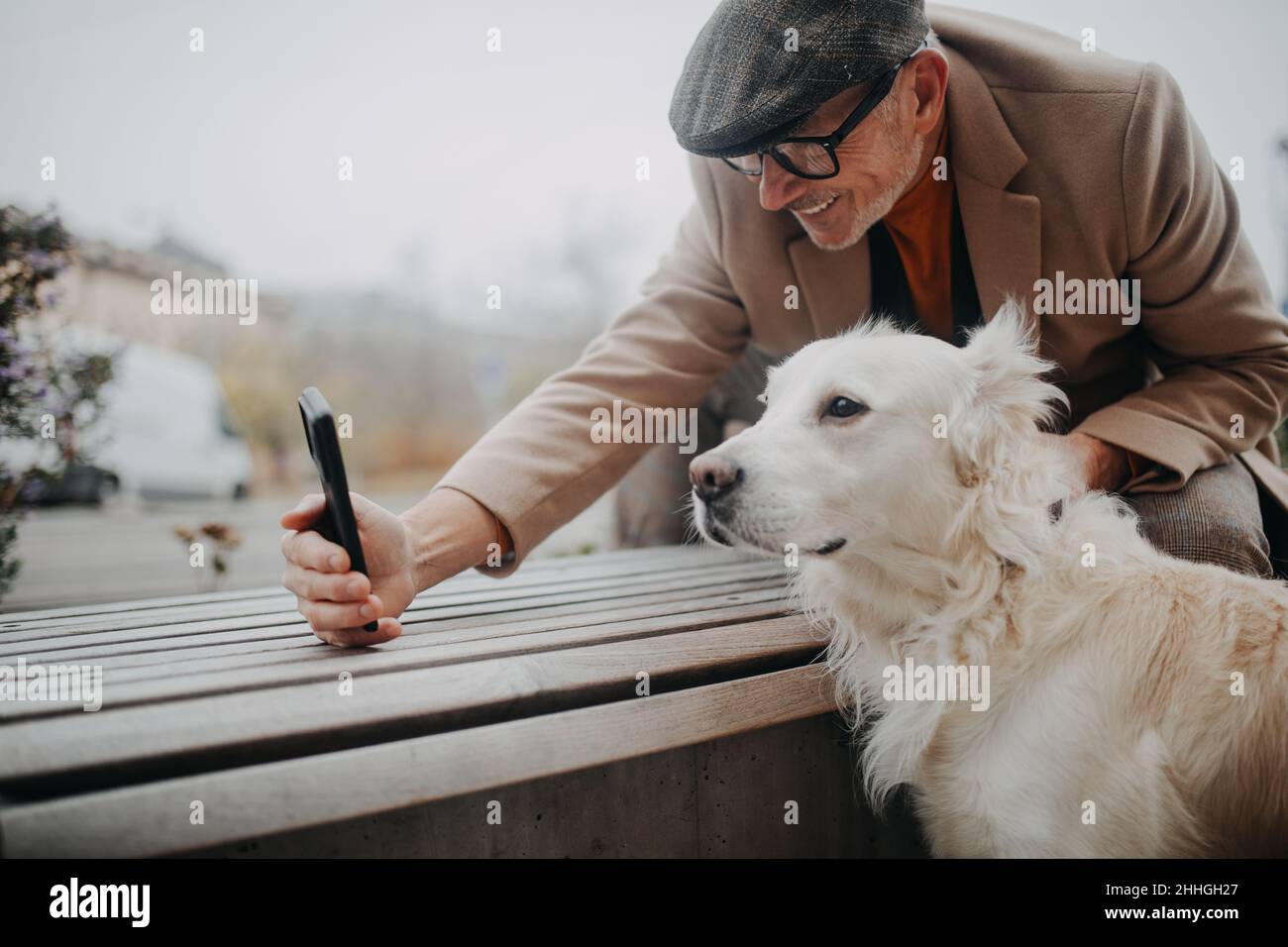 Glücklicher älterer Mann, der auf der Bank sitzt und Selfie mit seinem Hund im Freien in der Stadt macht. Stockfoto