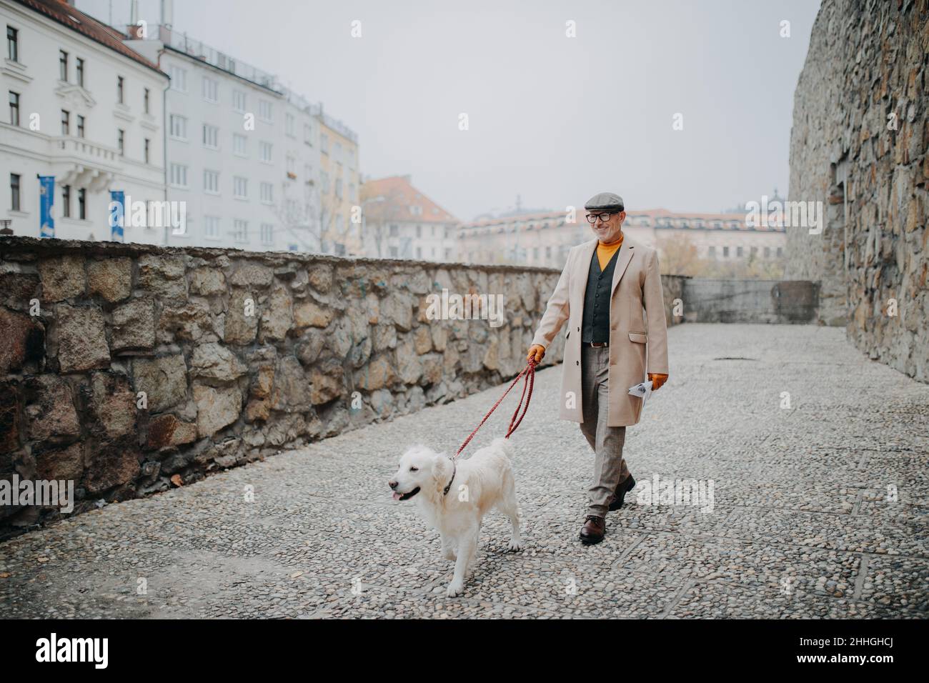 Fröhlicher, eleganter älterer Mann, der seinen Hund in der Stadt im Freien führt. Stockfoto