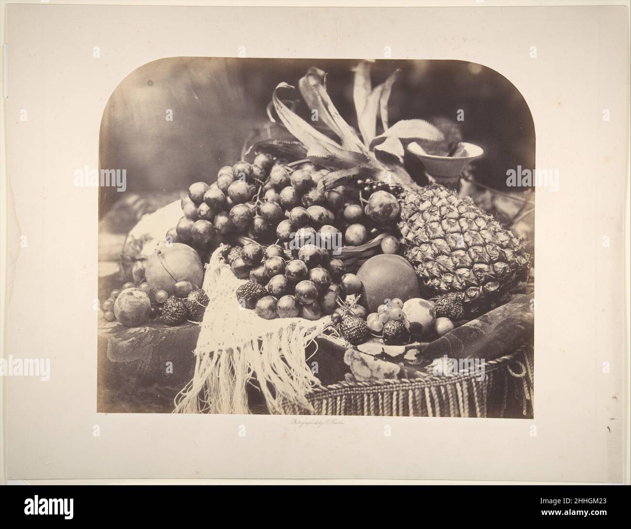 [Still Life with Fruit] 1860 Roger Fenton British Fenton, der von 1854 bis 1859 zum Fotografen des British Museum ernannt wurde, hatte reichlich Gelegenheit, seine Fähigkeiten beim Fotografieren von stationären Objekten in verschiedenen Größen und Materialien zu entwickeln, von antiken Büsten bis hin zu Skeletten von Tieren und Vögeln. 1860 begann er eine Serie von etwa vierzig Stillleben mit Früchten und Blumen, die auf Marmor oder Stoff angeordnet waren. Das Vorhandensein derselben Früchte in mehr als einem Bild deutet darauf hin, dass die Studien über einen relativ kurzen Zeitraum durchgeführt wurden. In den besten Beispielen werden Blumen und Früchte in einander gruppiert Stockfoto