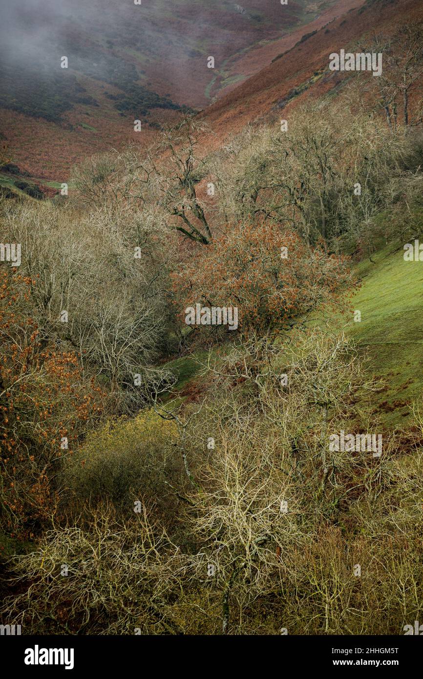 Shropshire Hills, AONB, Long Mynd in der Nähe von Church Stretton. Landschaft Stockfoto