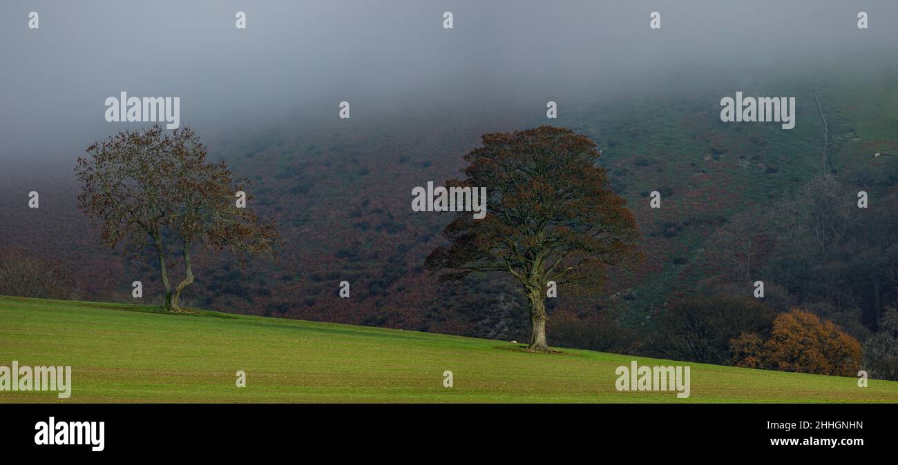 Shropshire Hills, AONB, Long Mynd in der Nähe von Church Stretton. Landschaft Stockfoto