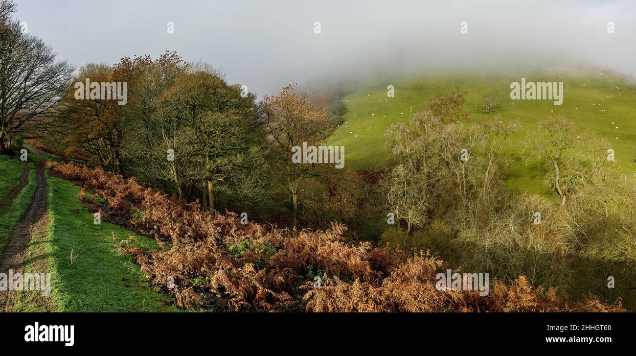 Shropshire Hills, AONB, Long Mynd in der Nähe von Church Stretton. Landschaft Stockfoto