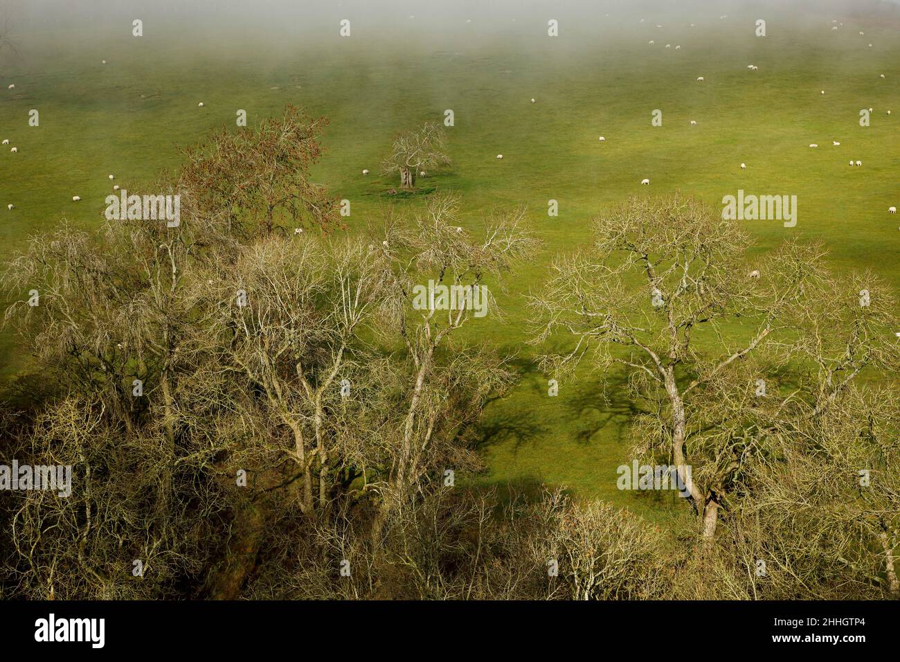 Shropshire Hills, AONB, Long Mynd in der Nähe von Church Stretton. Landschaft Stockfoto
