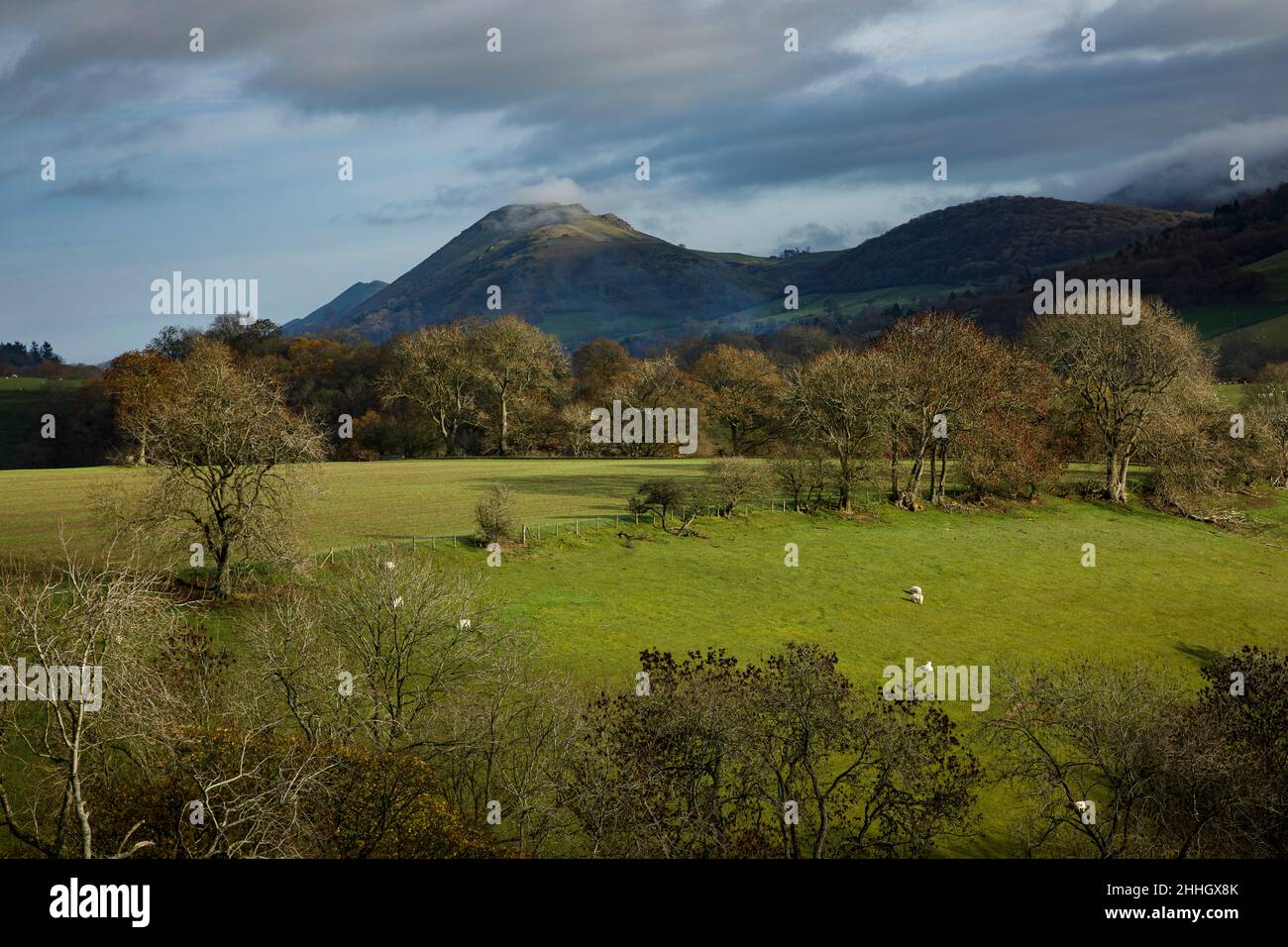 Shropshire Hills, AONB, Long Mynd in der Nähe von Church Stretton. Landschaft Stockfoto