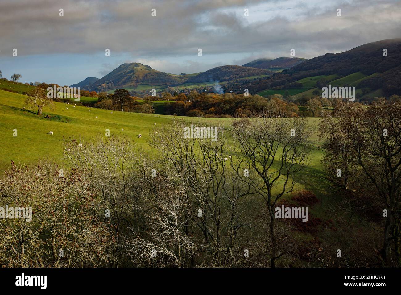 Shropshire Hills, AONB, Long Mynd in der Nähe von Church Stretton. Landschaft mit Caradoc in der Ferne. Stockfoto