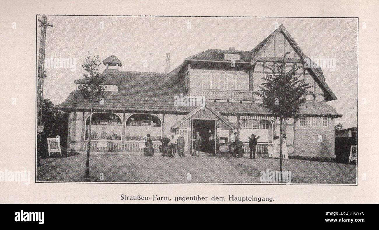 Antike/historische Vorstellungen / Bilder voller Perspektiven / Katalog des deutschen Tierhändlers, Zoogründers und Zoodirektors Carl Hagenbeck (Geschäftsmann) aus Hamburg 1911. : ADDITIONAL-RIGHTS-CLEARANCE-INFO-NOT-AVAILABLE Stockfoto