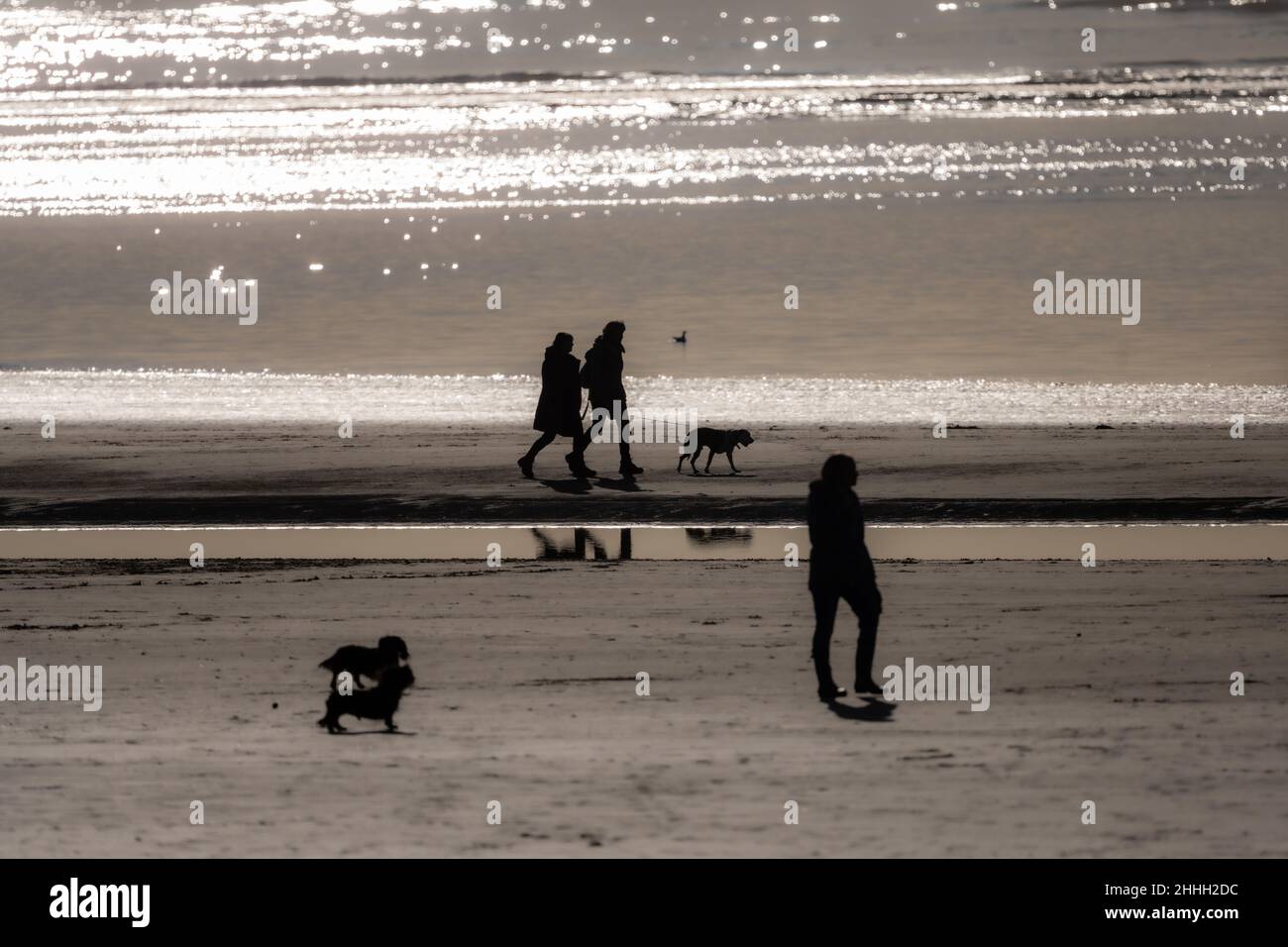 Hundespaziergänger machen einen Spaziergang an einem sonnenverwöhnten West Wittering Beach, Chichester, Großbritannien Stockfoto