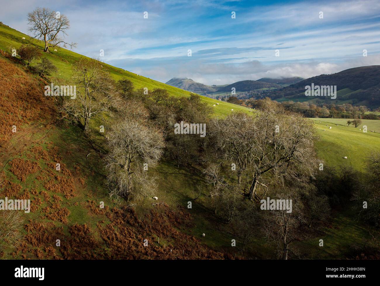 Shropshire Hills, AONB, Long Mynd in der Nähe von Church Stretton. Landschaft Stockfoto