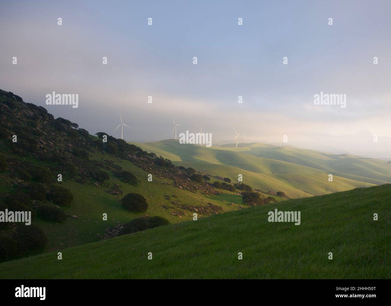 Regionale Parks SF Bay Stockfoto