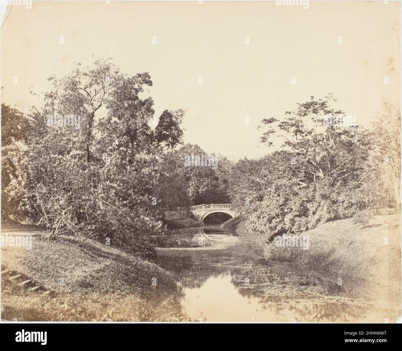 [Botanischer Garten, Kalkutta] 1850s Captain R. B. Hill British. [Botanischer Garten, Kalkutta] 287858 Stockfoto