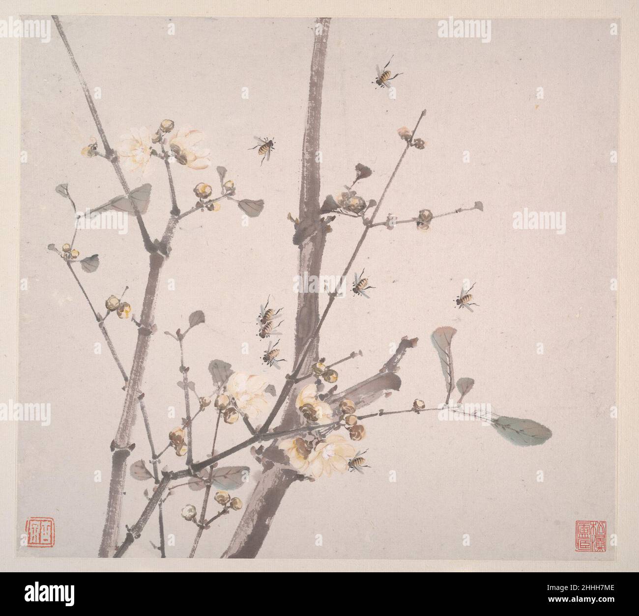 Insekten und Blumen Ju Lian der Chinese Ju Lian war im Gegensatz zu seinem älteren Cousin Ju Chao gesellig und nachsichtig. Als Ju Lian die renommierte Gartenvilla des Beamten Chang Jingxiu verließ, erhielt er mehrere junge Konkubinen als Geschenk. Für sie baute Ju seine Villa 'Garten der zehn Düfte' in Fanyu. Er behielt sie mit Besuchern und Malern gefüllt und pflanzte die Gärten im überschwänglichen Stil von Chang's Villa.Ju Lians Wertschätzung für die schönen und amüsanten Dinge zeigt sich in seinen Bildern von sorgfältig beobachteter Flora und Fauna. Als Lehrer von Gao Jianfu (der wiederum h Stockfoto