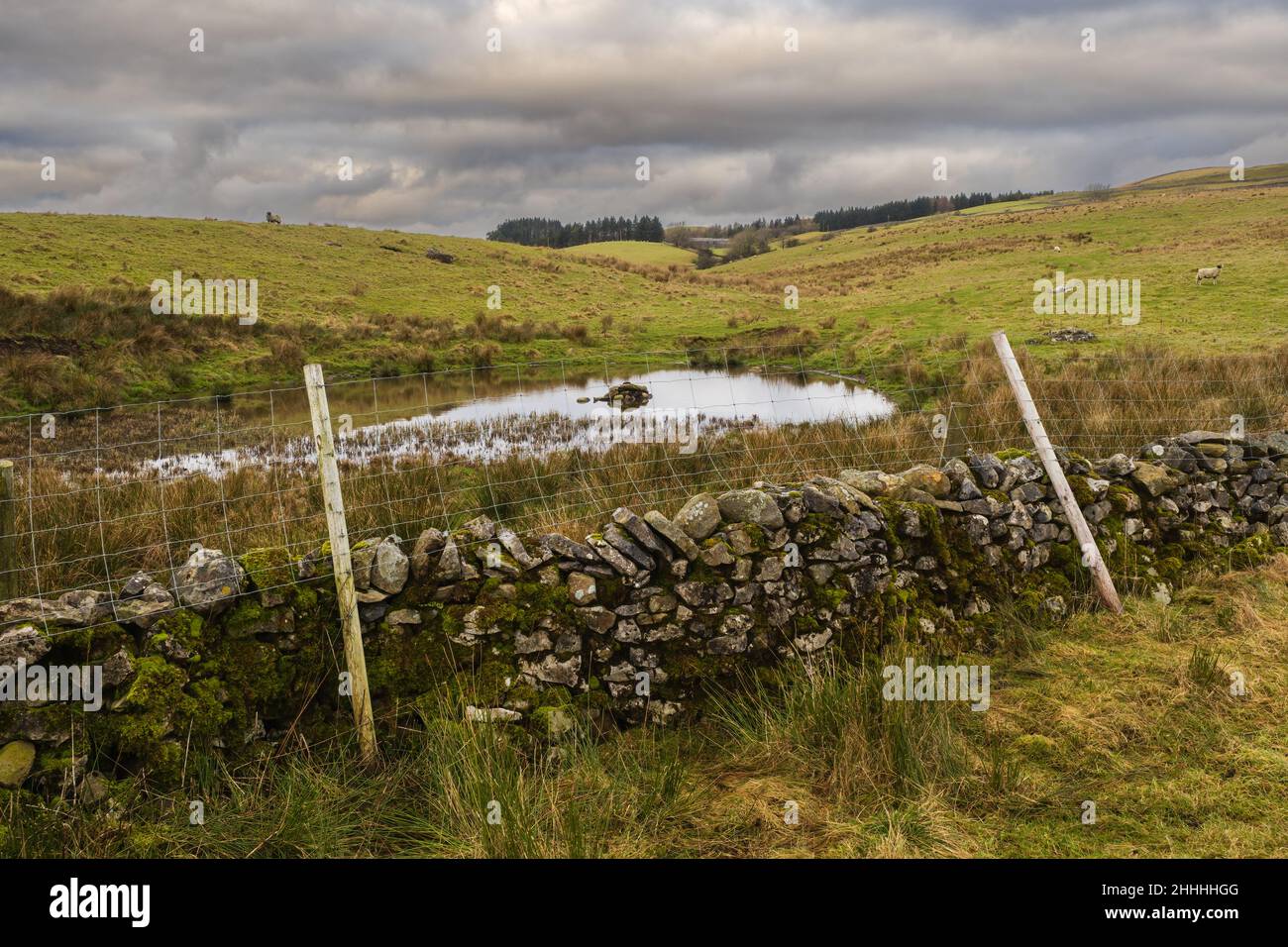 Spaziergang entlang der Pennine-Brücke und des Pennine Way von Horton in Ribblesdale in den Yorkshire Dales Stockfoto