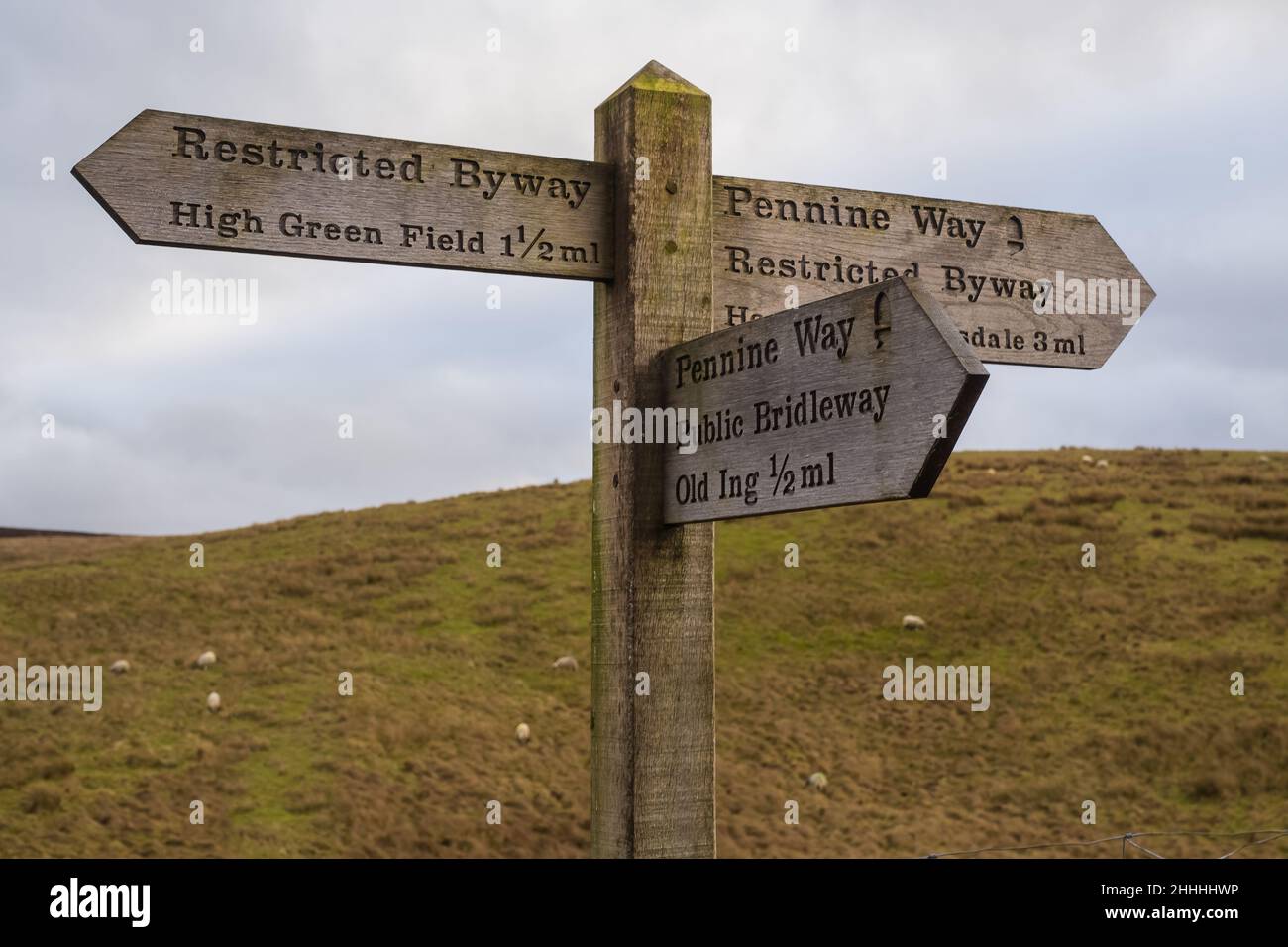 Spaziergang entlang der Pennine-Brücke und des Pennine Way von Horton in Ribblesdale in den Yorkshire Dales Stockfoto