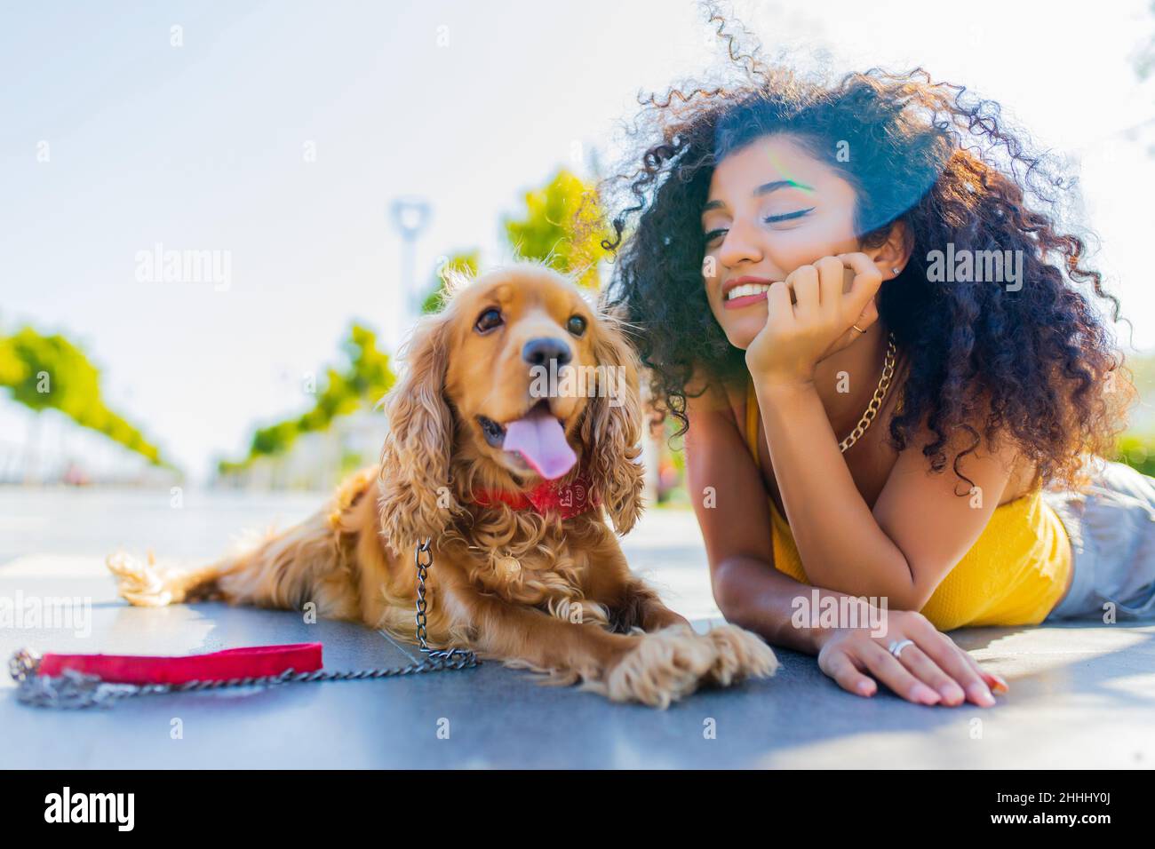 Fröhliche, dunkle, langhaarige Frau mit amerikanischem Cockerhund, die im Sommerpark spielt Stockfoto
