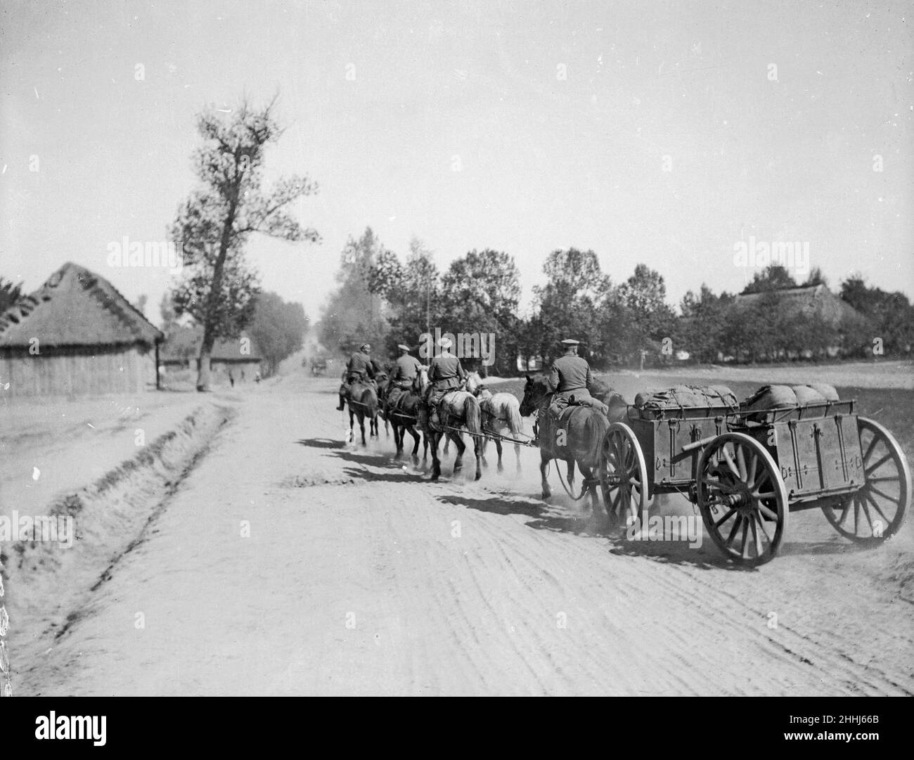 Russische Artillerie wird vor der Schlacht um Lemberg an die Front gebracht. Circa September 1914 Stockfoto