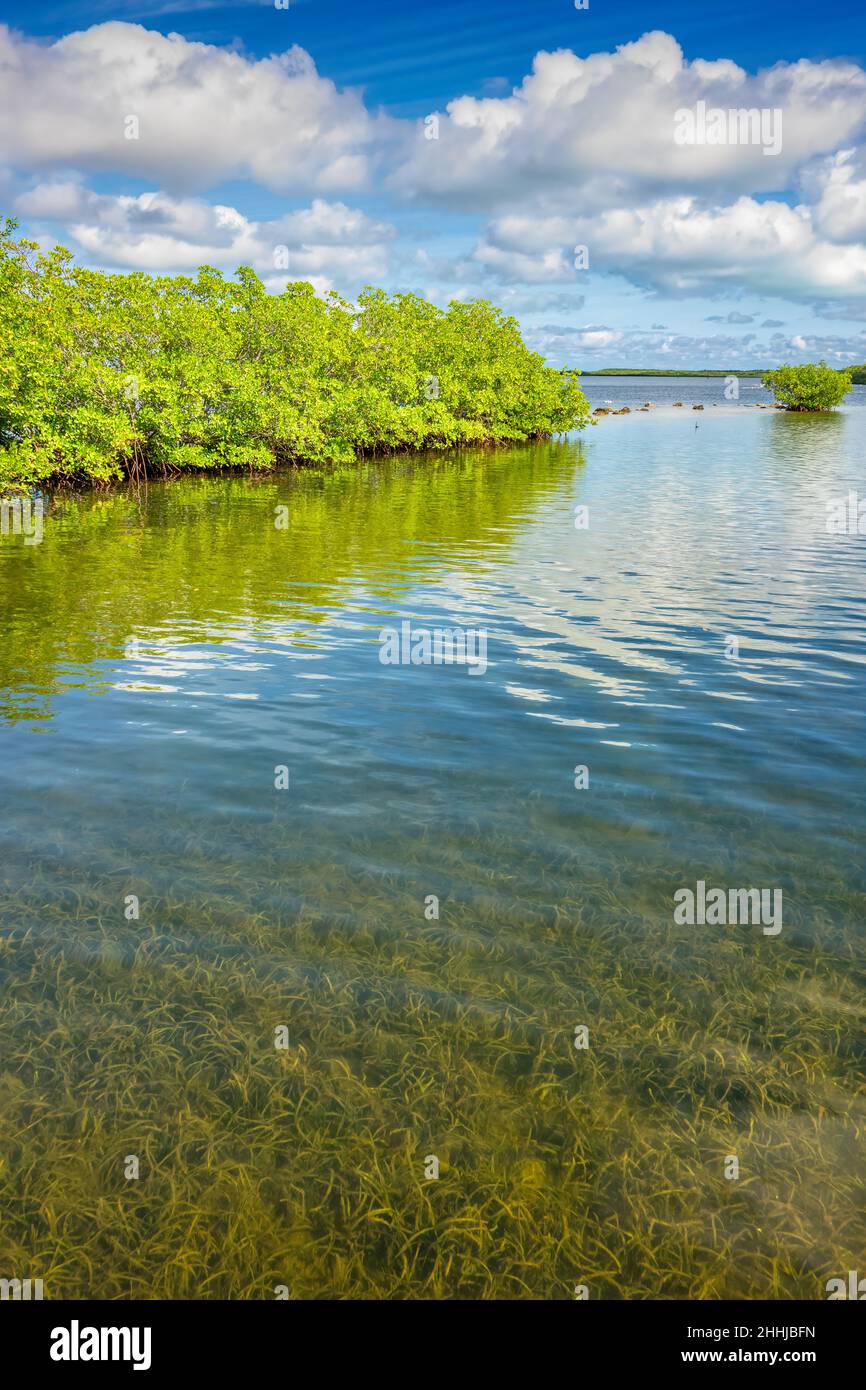 John Pennekamp Coral Reef State Park in Key Largo, Florida, USA Stockfoto