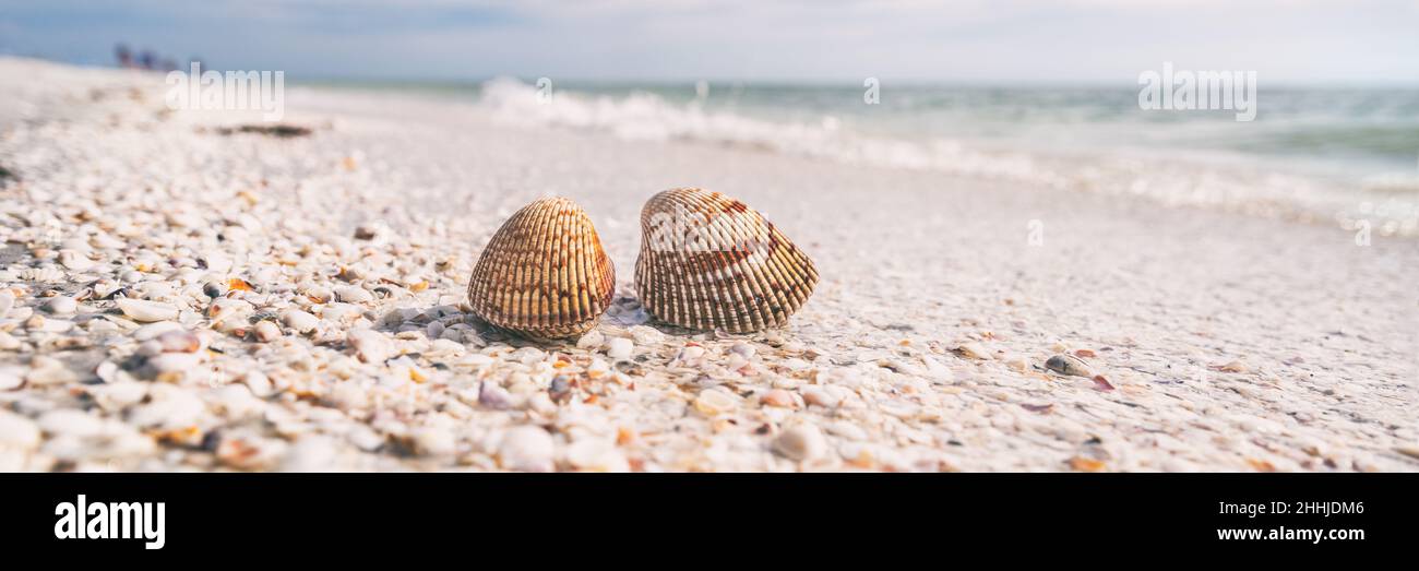 Muscheln Beschuss Aktivität auf Muschelstrand in Sanibel, Fort Myers, Südflorida Banner Panorama Hintergrund, USA Reisen Stockfoto