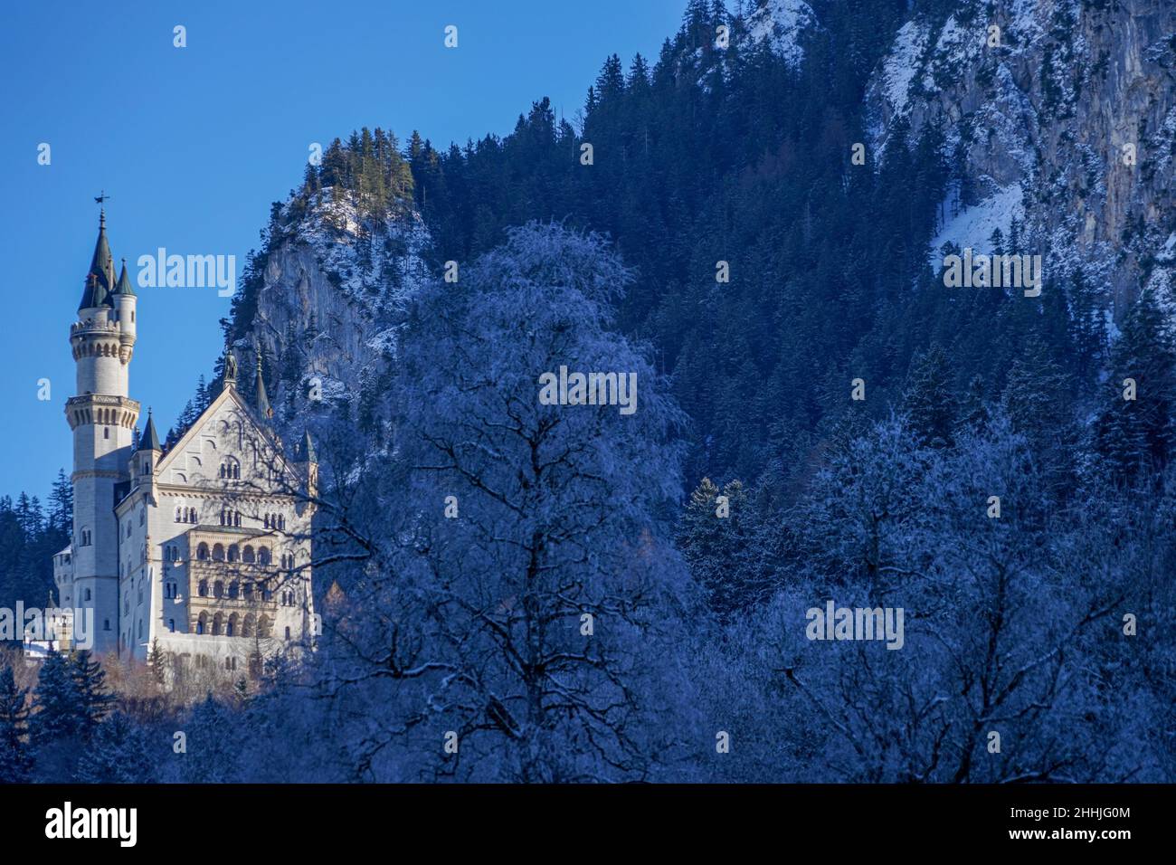 Blick im Winter vom Dorf Schwangau auf das königliche Schloss Neuschwanstein, umgeben von Wald in den Bergen, von König Ludwig II. Stockfoto