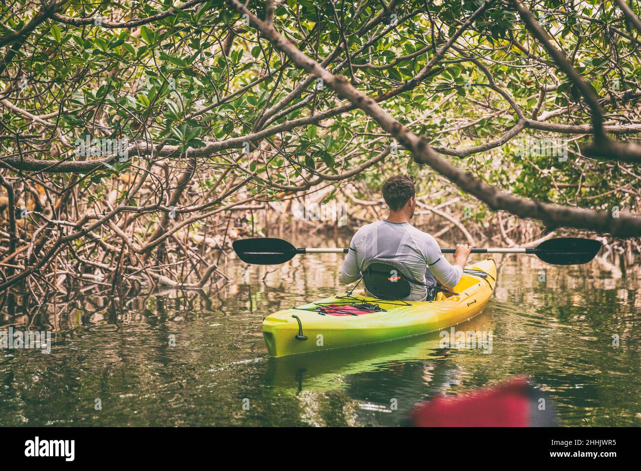 Kajak Mann Kajakfahren in Mangroven Natur der Everglades, Florida, USA Reiseaktivität. Wassersport Tourismus Menschen Lebensstil Stockfoto