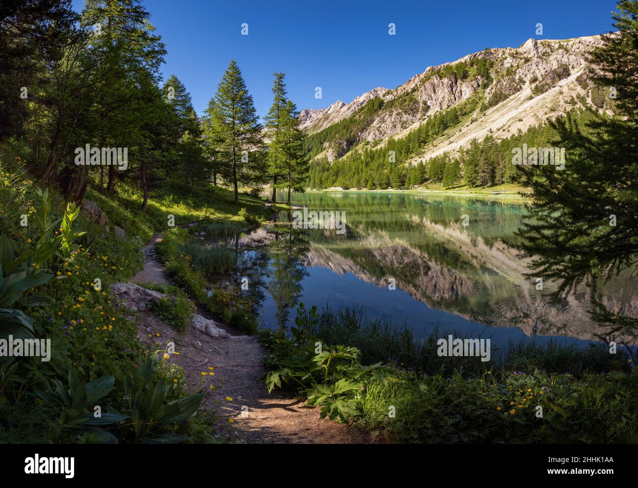 Orceyrette See im Sommer mit Lärchenwald. Region Briancon in den Hautes-Alpes. Südfranzösische Alpen, Frankreich Stockfoto