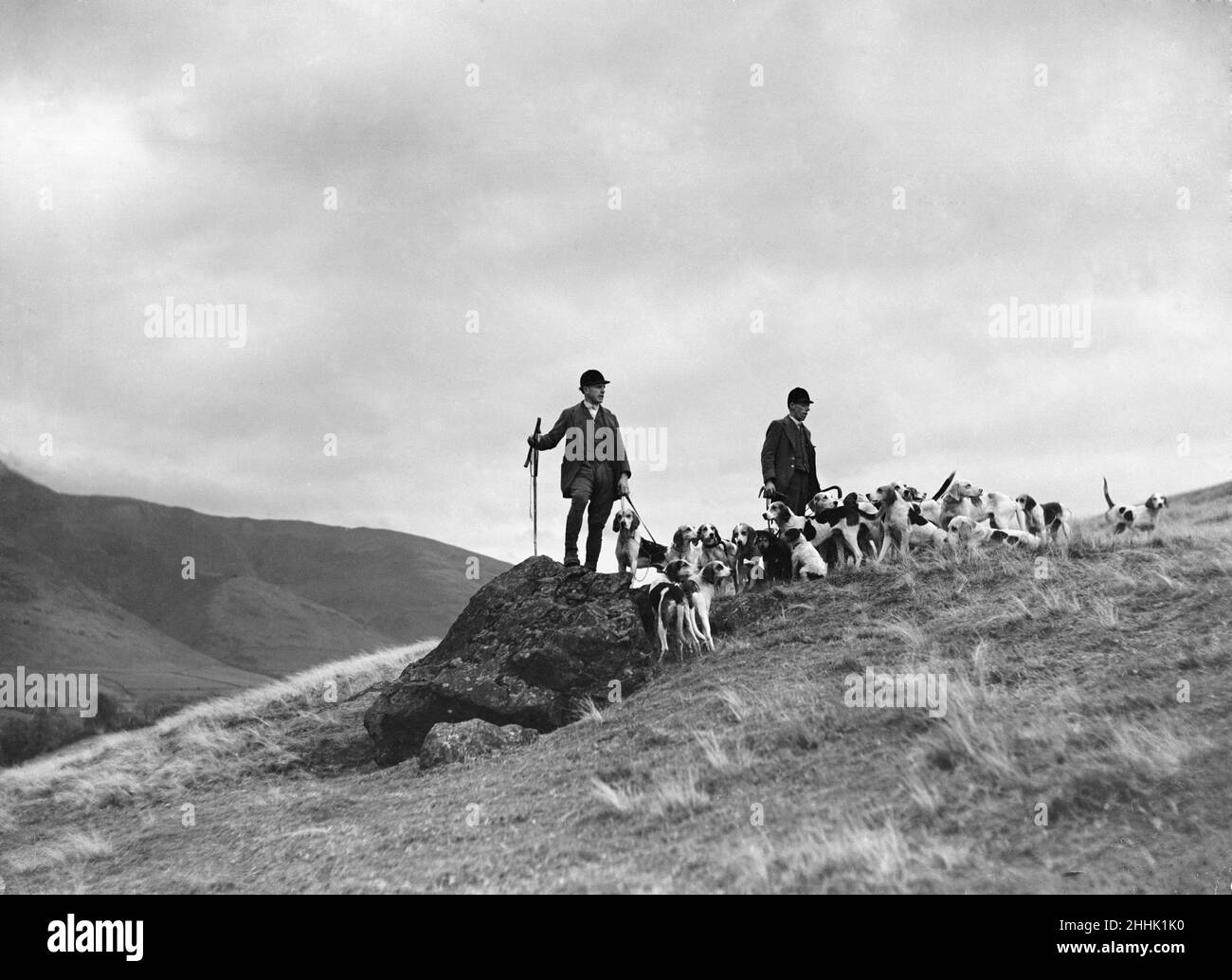 Die Jagdhunde werden über die hohen Hügel Nordenglands geübt. Februar 1935. P23047 Stockfoto