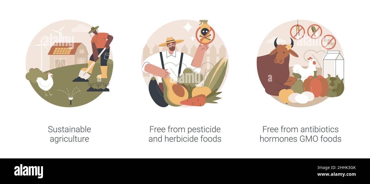 Nachhaltige ökologische Landwirtschaft abstrakte Konzept Vektor Illustrationen. Stock Vektor