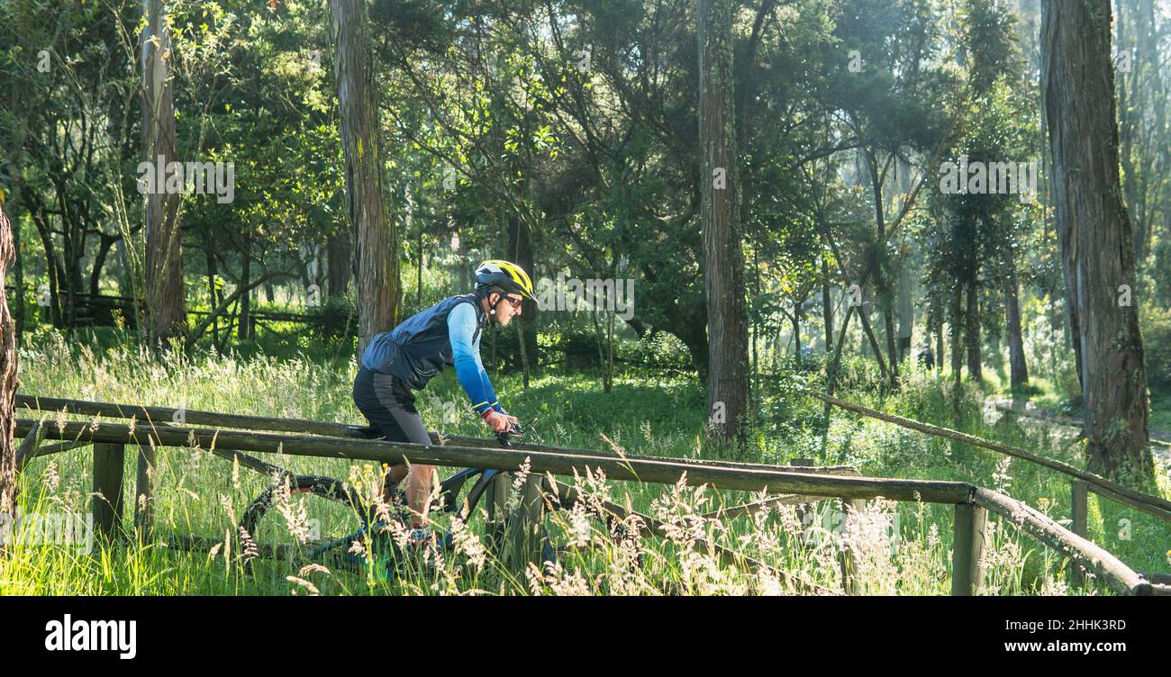 Ein Mann zwischen 30 und 40 Jahren fährt mit dem Mountainbike mitten im Wald Stockfoto