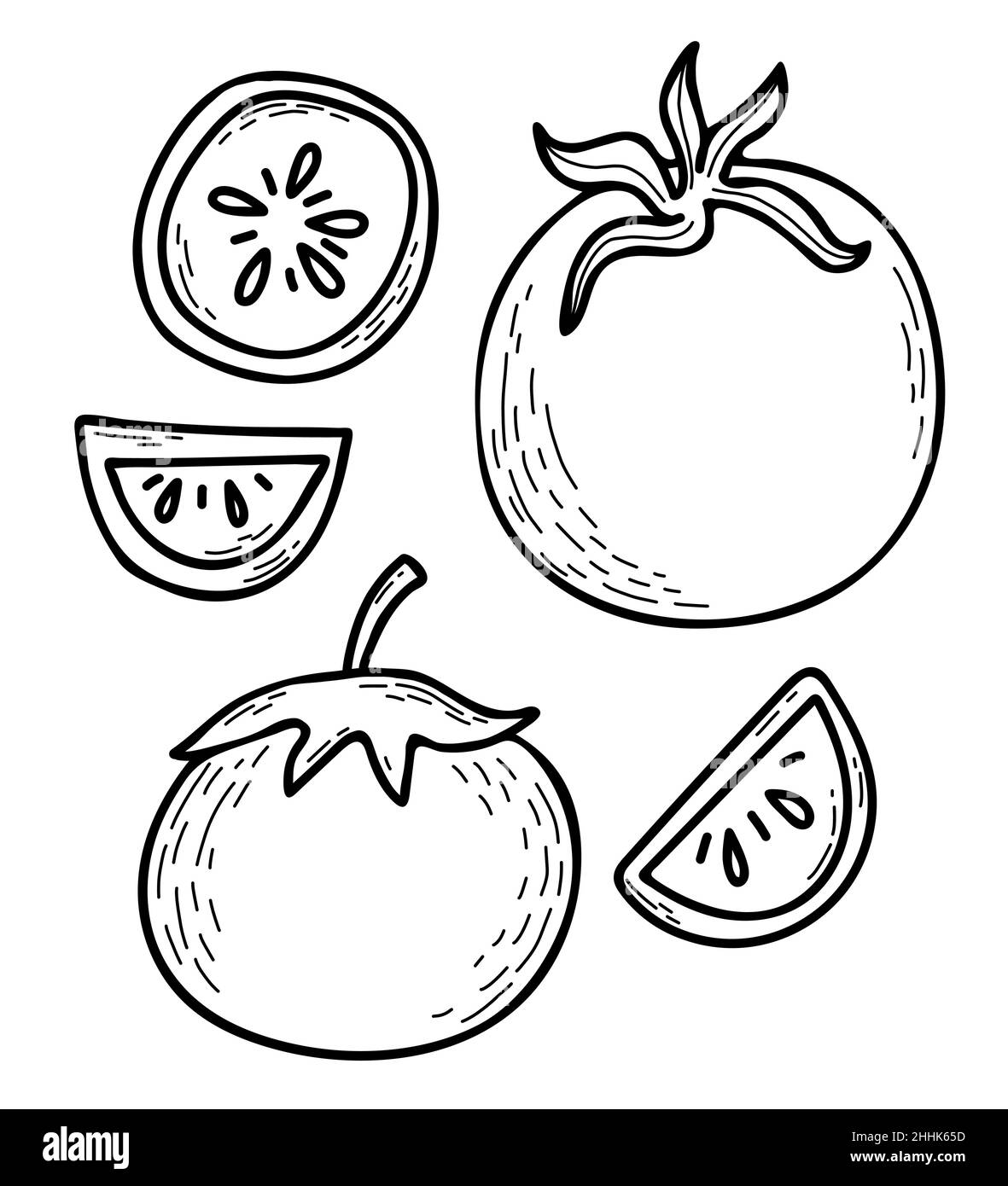 Vector handgezeichnete Tomatenset. Schöne ganze Gemüse und Stücke geschnitten. Vektorgrafik. Linear handgezeichneter Doodle-Stil für Design, Dekor und Deko Stock Vektor