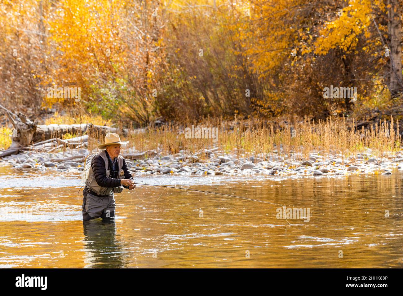 USA, Idaho, Bellevue, Senior man Fliegenfischen im Big Wood River im Herbst Stockfoto