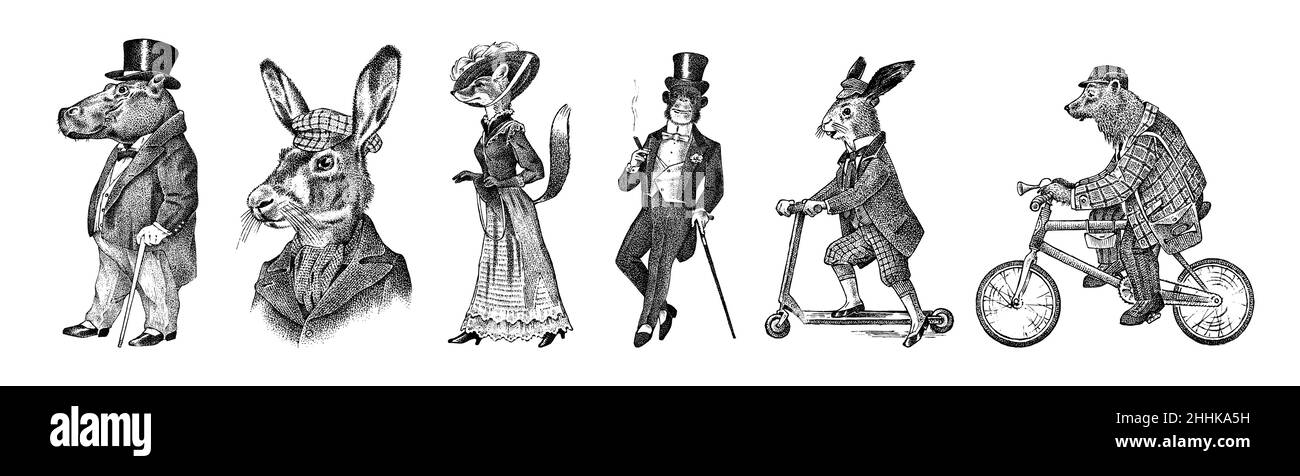 Braunbär fährt Fahrrad. Fuchs und Affe, Nilpferd und Hase oder Kaninchen auf einem Roller. Antiker Gentleman in Mütze und Mantel. Viktorianischer Mann. Vintage Stock Vektor
