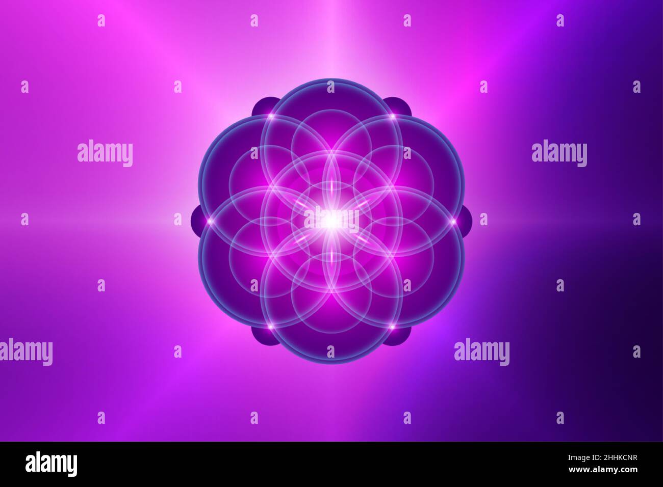 Samen des Lebens, spirituelle Heilige Geometrie, Blume des Lebens, Lotus Neonlicht-Logo Symbol für Harmonie und Balance, leuchtende geometrische Ornamente, Yoga, Rosa Stock Vektor