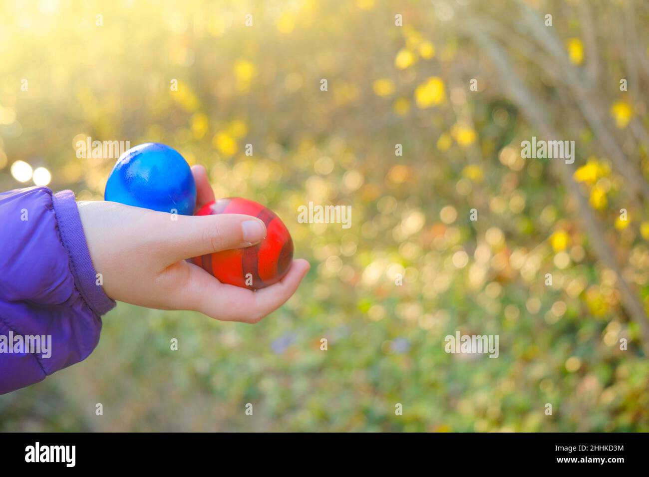 Ostereiersuche.Ostern bemalte Eier in der Hand eines Kindes in einem blühenden Frühlingsgarten in der Sonne. Bunte Eier. Osterfeiertage Tradition.Frühling religiös Stockfoto