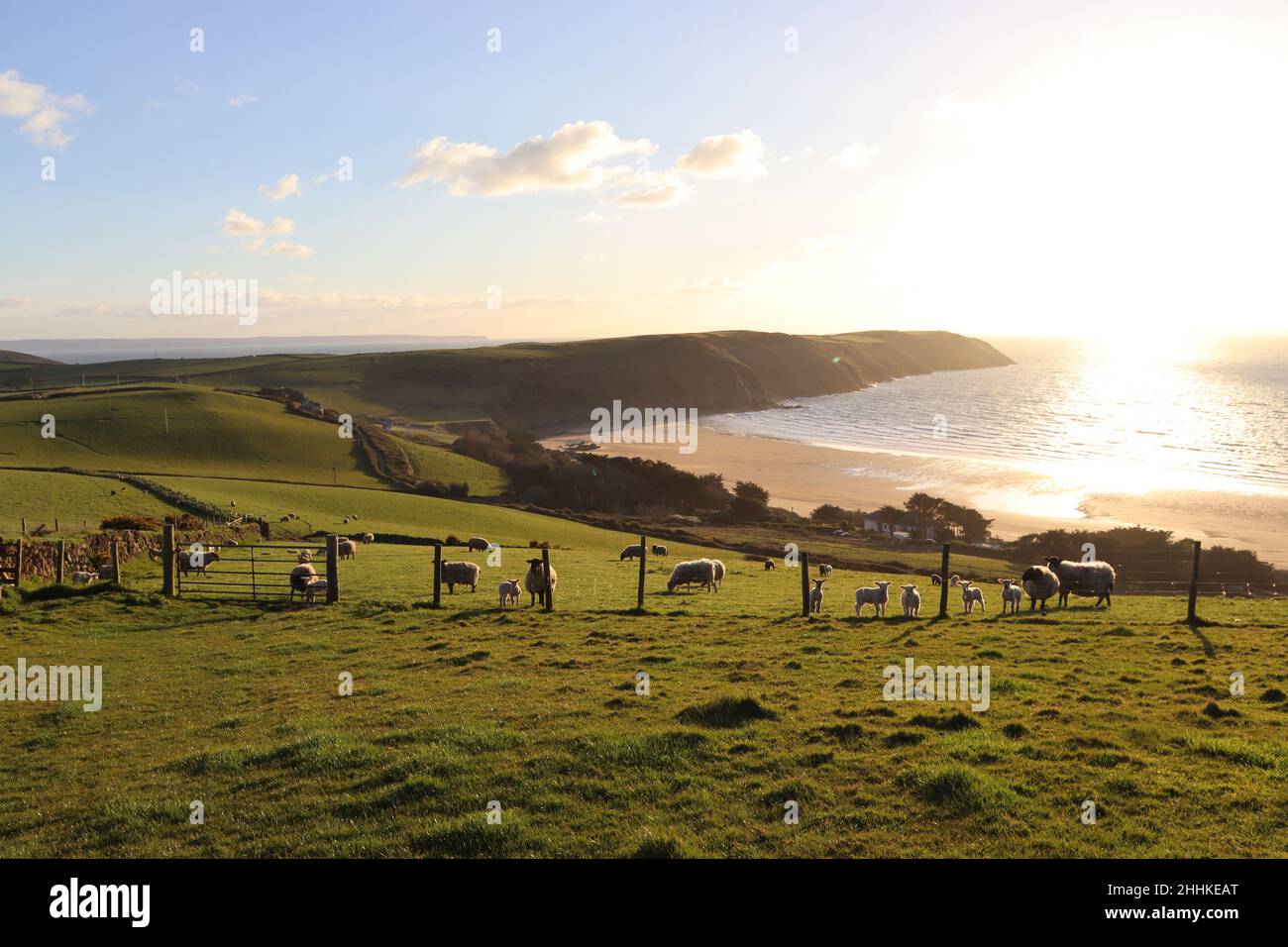 Schöner Sonnenuntergang an der Küste von Devon Stockfoto