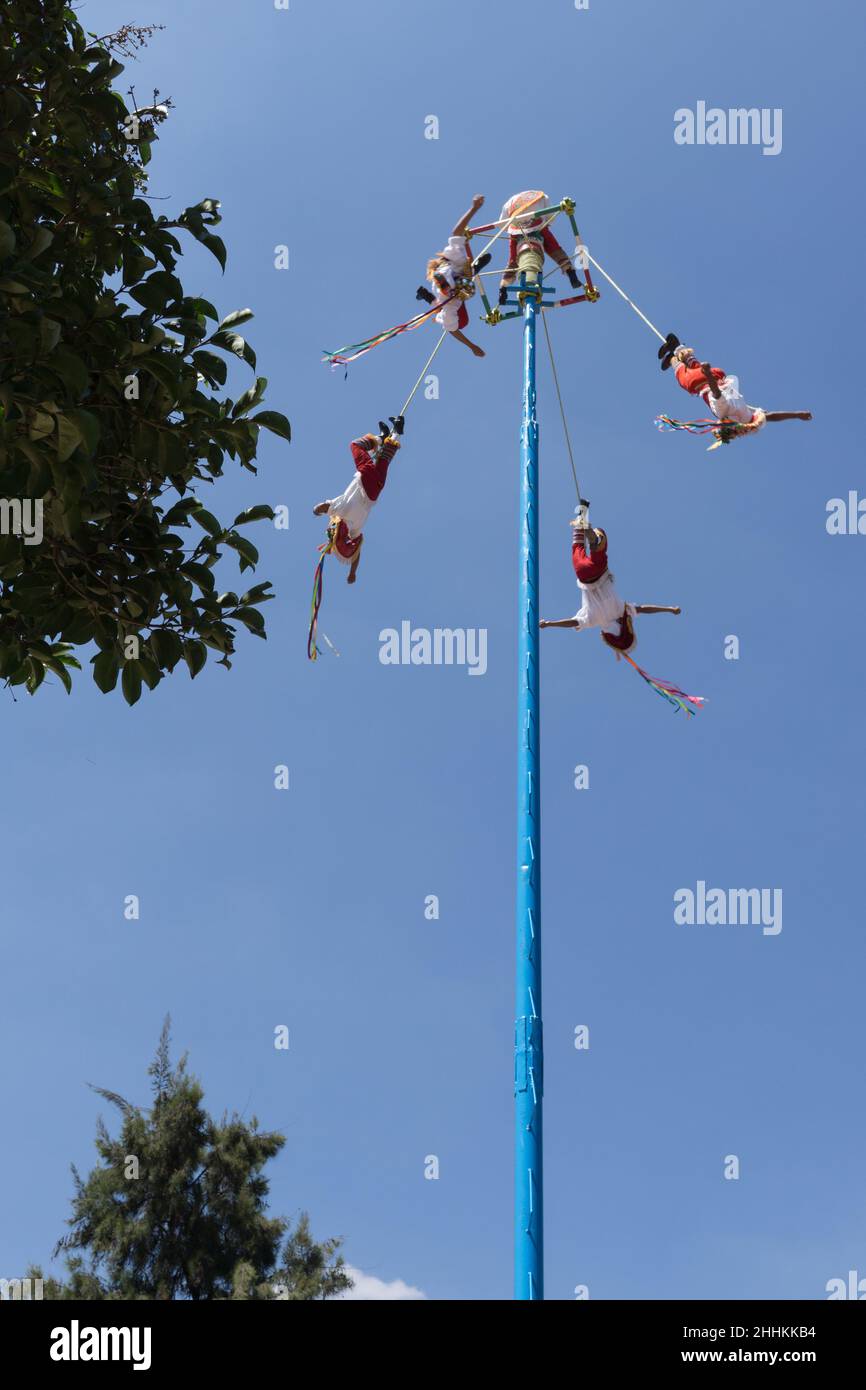 Danza de los Voladores in Xochimilco in Mexiko-Stadt. Fünf Männer führen dies für Touristen durch, vier fliegende, einer auf dem Pol, der eine Trommel und ein Playi schlägt Stockfoto