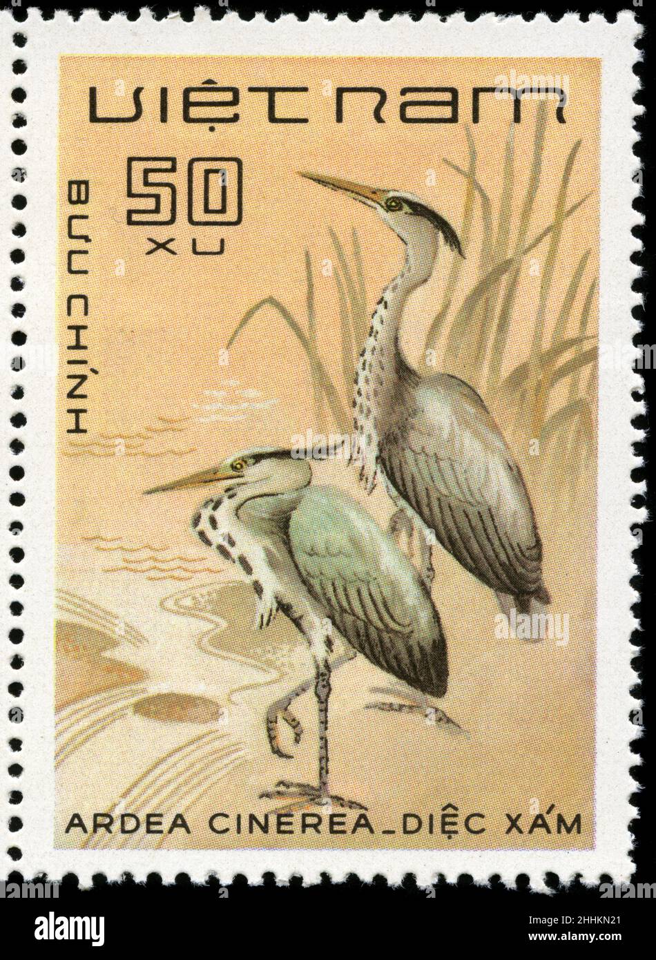 Briefmarke aus Vietnam in der Birds-Serie, die 1983 herausgegeben wurde Stockfoto