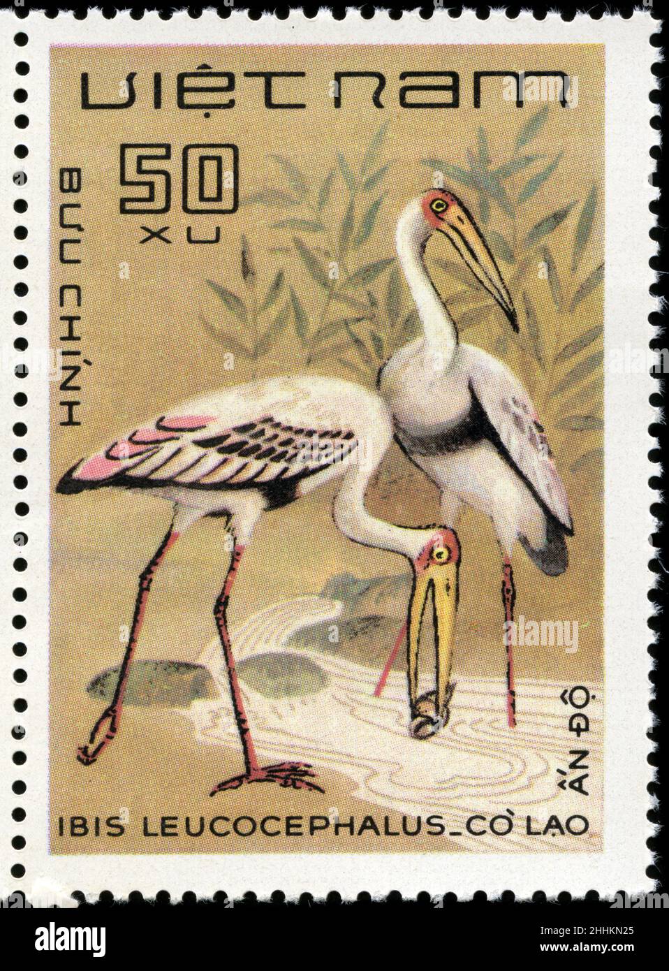 Briefmarke aus Vietnam in der Birds-Serie, die 1983 herausgegeben wurde Stockfoto