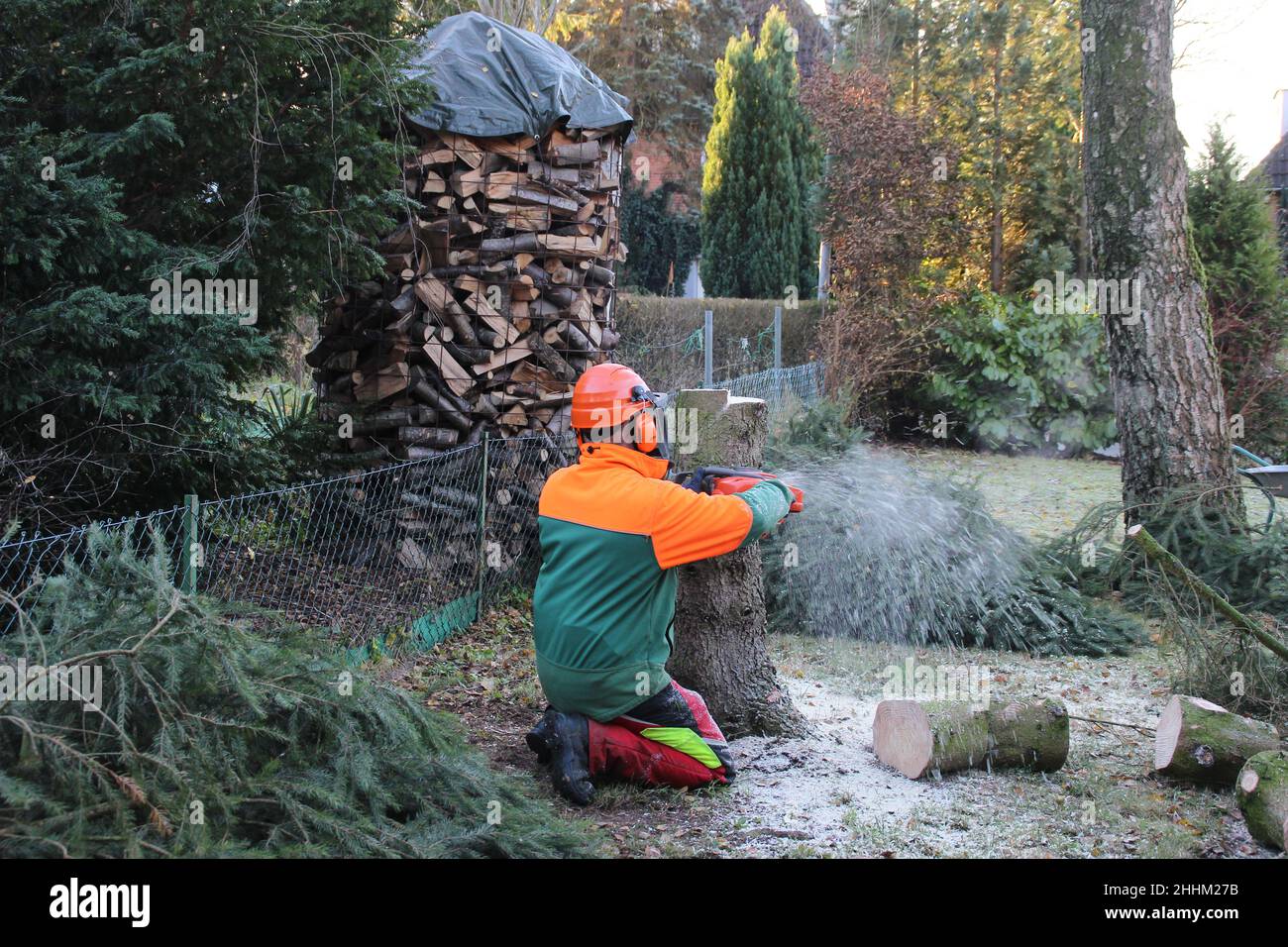 Ein Mann trägt ein spezielles Zahnrad und schneidet mit einer Kettensäge  den Stamm eines Baumes Stockfotografie - Alamy