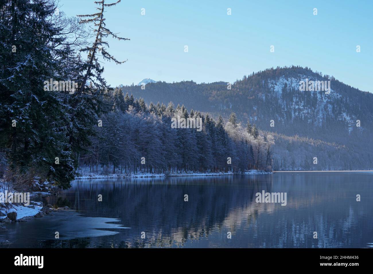 Winterlandschaft am teilweise eisbedeckten Alpsee in der bayerischen Schwangau. Stockfoto